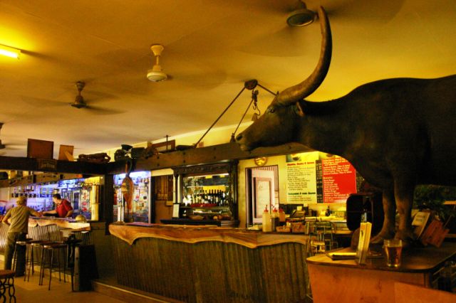Buffalo For Sale >> Hotels in Adelaide River Buffalo For Sale >> Hotels in Adelaide River