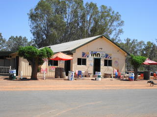 Shindy's Inn